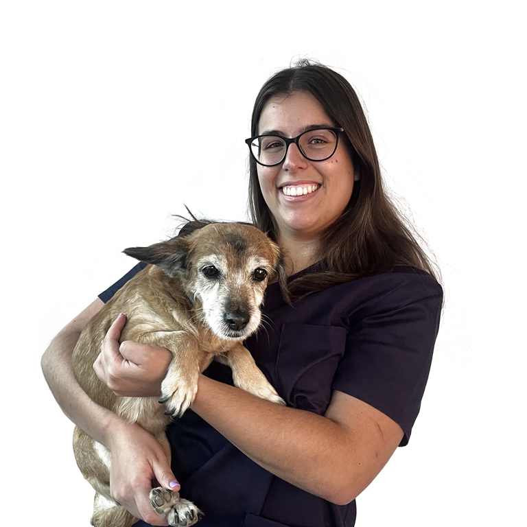 team-joanabarroso-optivet